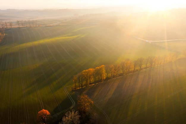 交通管理平台查询／交通管理平台查询车辆信息